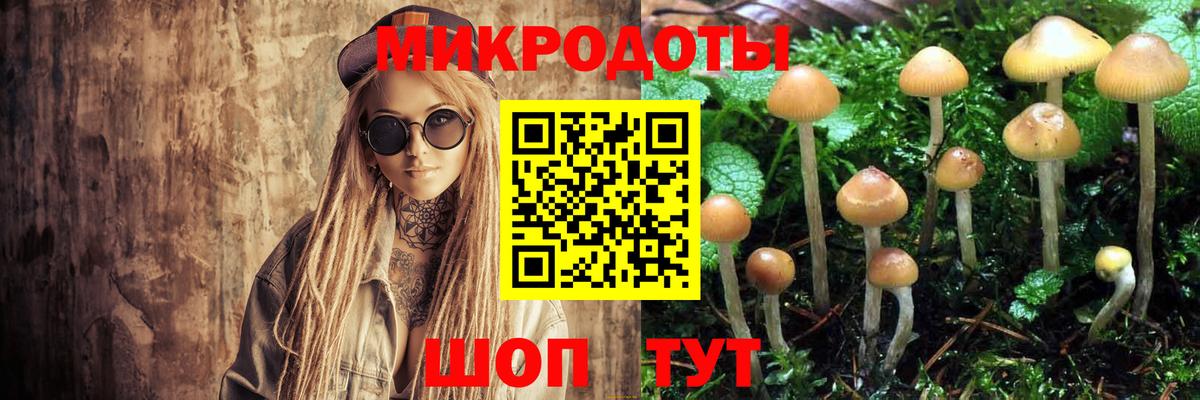 Видное  дарнет шоп  Вход с VPN  Псилоцибиновые грибы прущие грибы  Галлюциногенные грибы прущие грибы 